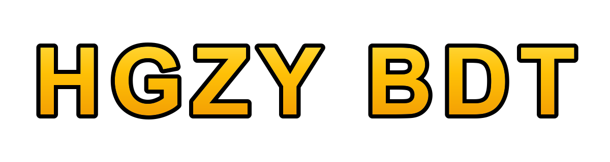 hgzy bdt